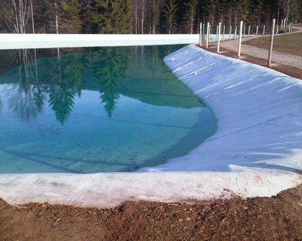 Teich und Poolbau